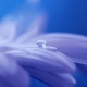 drop-of-water-571956