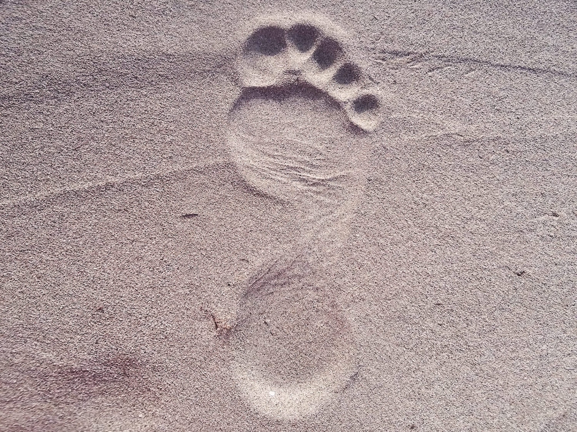 footprint-2624609