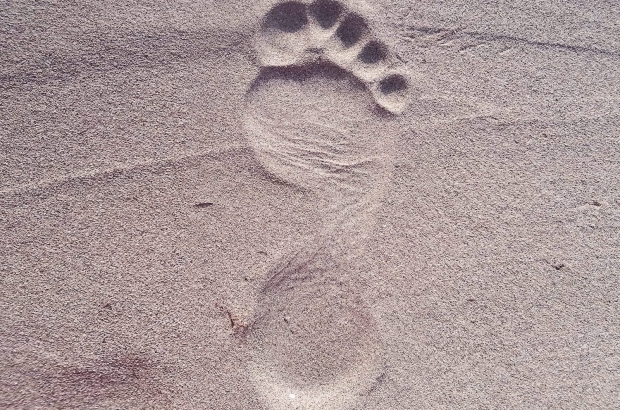 footprint-2624609