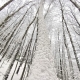 IMG_20211209_124425