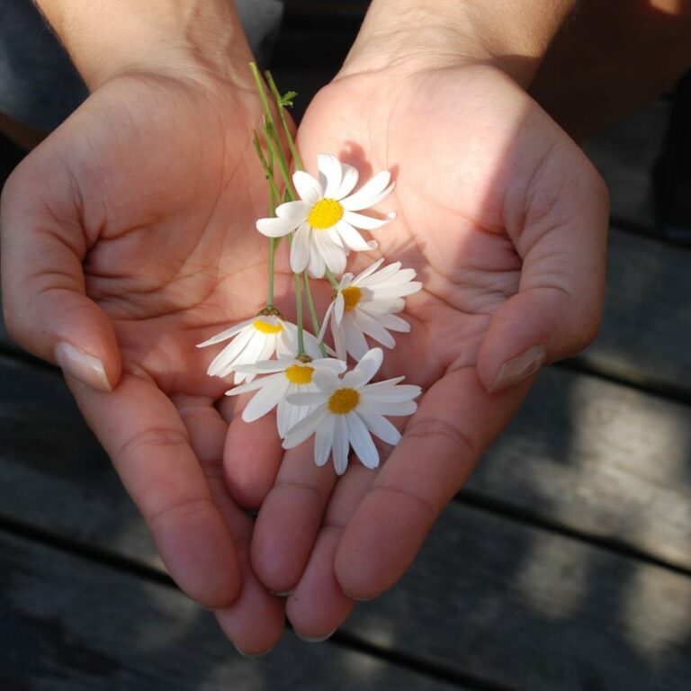 flower-22656