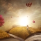 1 book-2929646