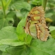 IMG_20220726_124622