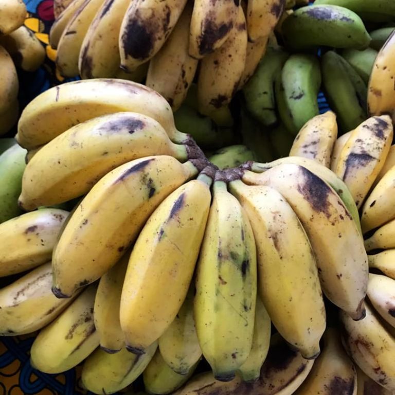 baby banány