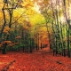1 hd-wallpaper-3804001_1920