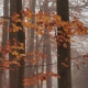 IMG_20221031_141349