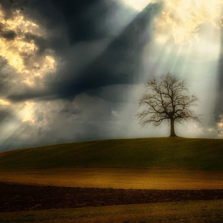 1 light-rays-3398105