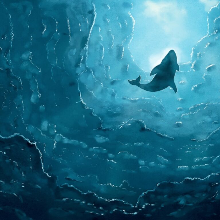 whale-2464799