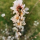 IMG_20230321_074617