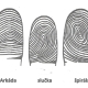 1 uvodna fotoZAKLADNÉ DERMATOGLYFY