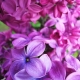 IMG_20230502_143107