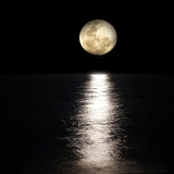 moon-2762111